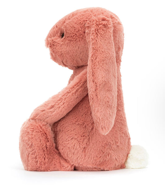 Bashful Sorrel Bunny | Medium