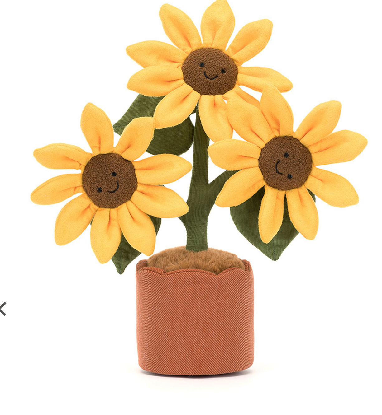 Amuseable Sunflower